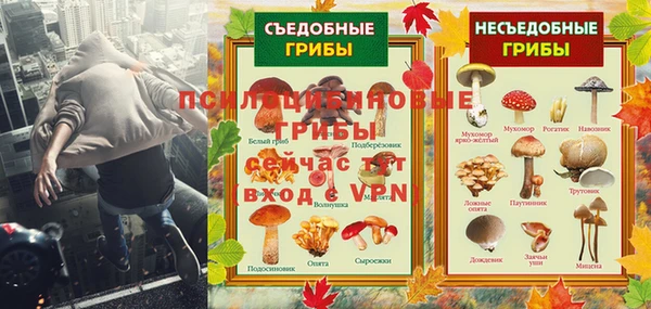 спиды Абинск