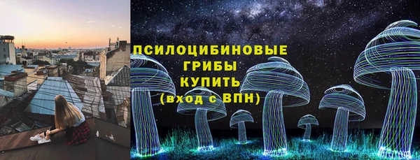 амф Алексин