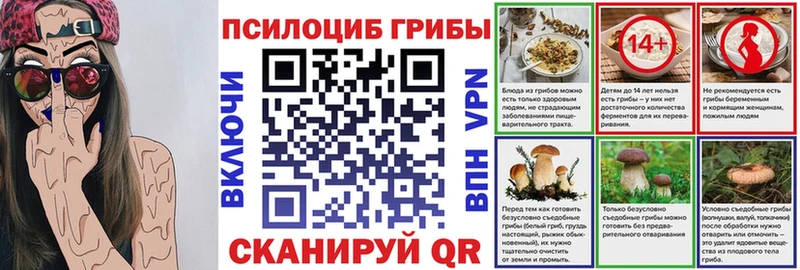 Псилоцибиновые грибы Cubensis  купить наркоту  маркетплейс формула  Карасук 